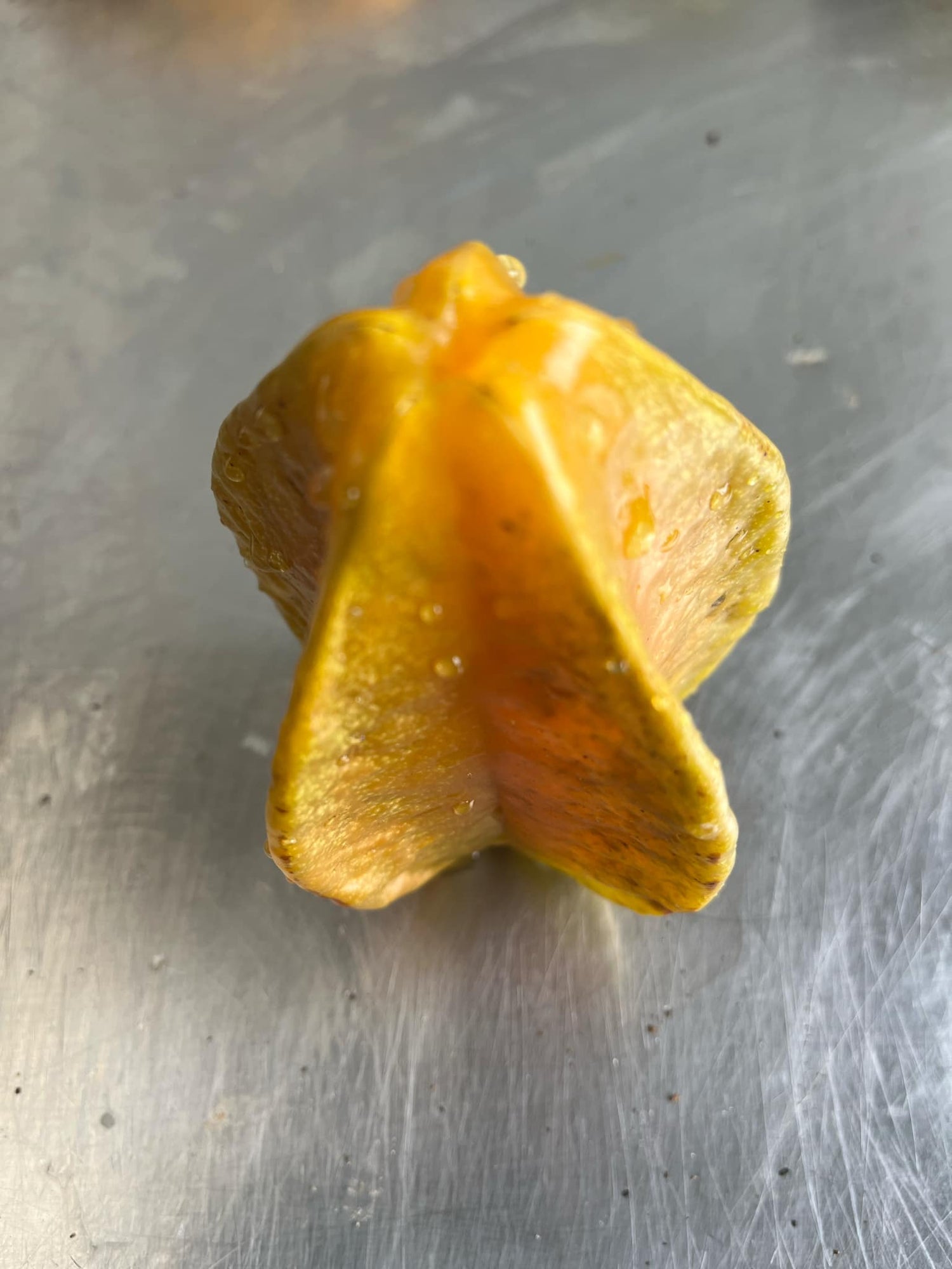 Carambola Starfruit - Aotearoa Gold - Grafted