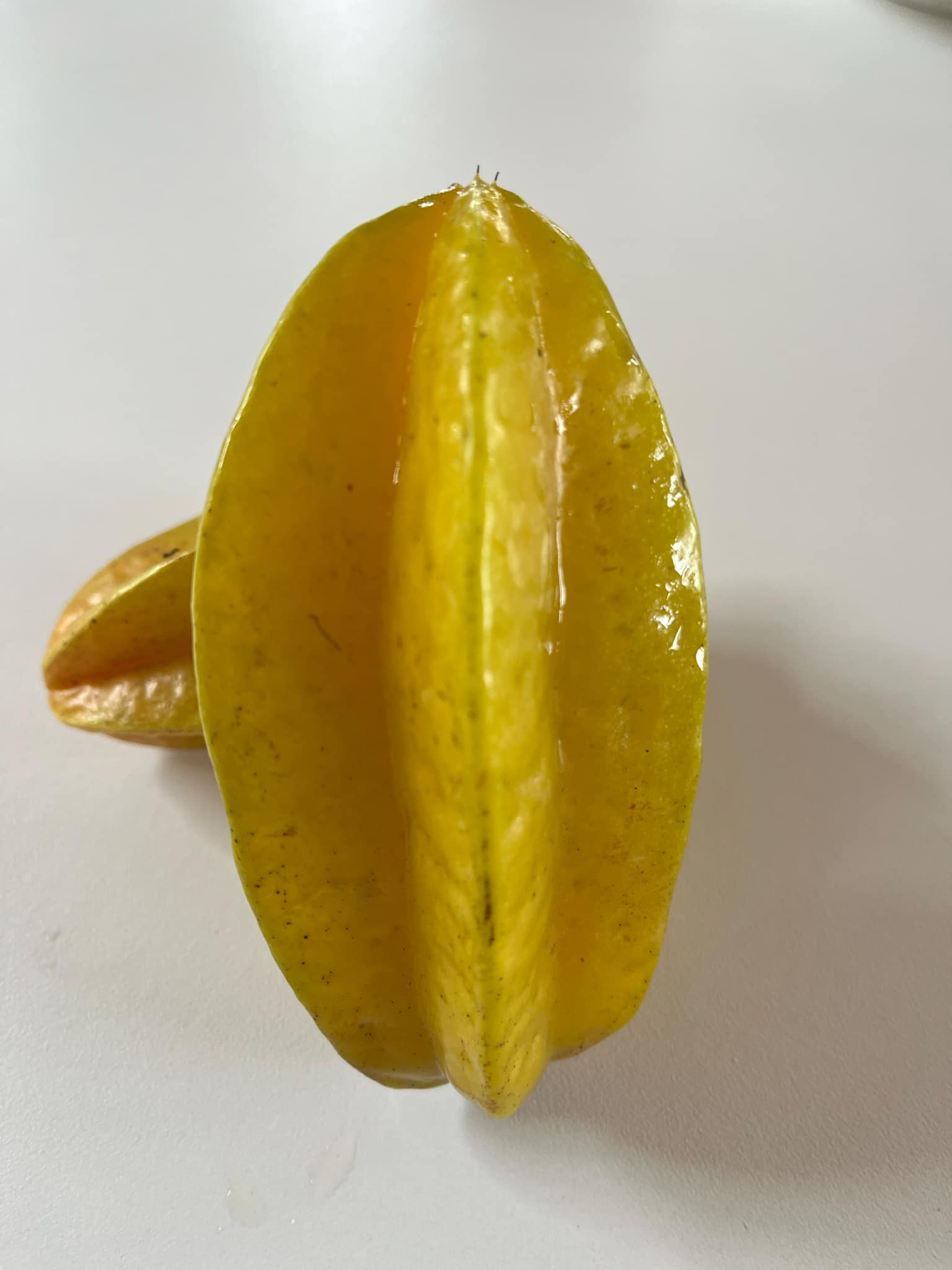 Carambola Starfruit - Sara - Grafted