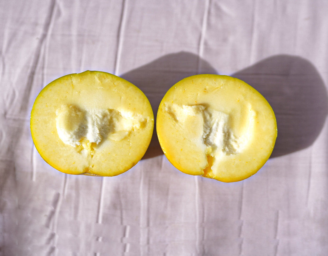 Casimiroa / White Sapote - Wiki Woo - Grafted flyingdragonnursery