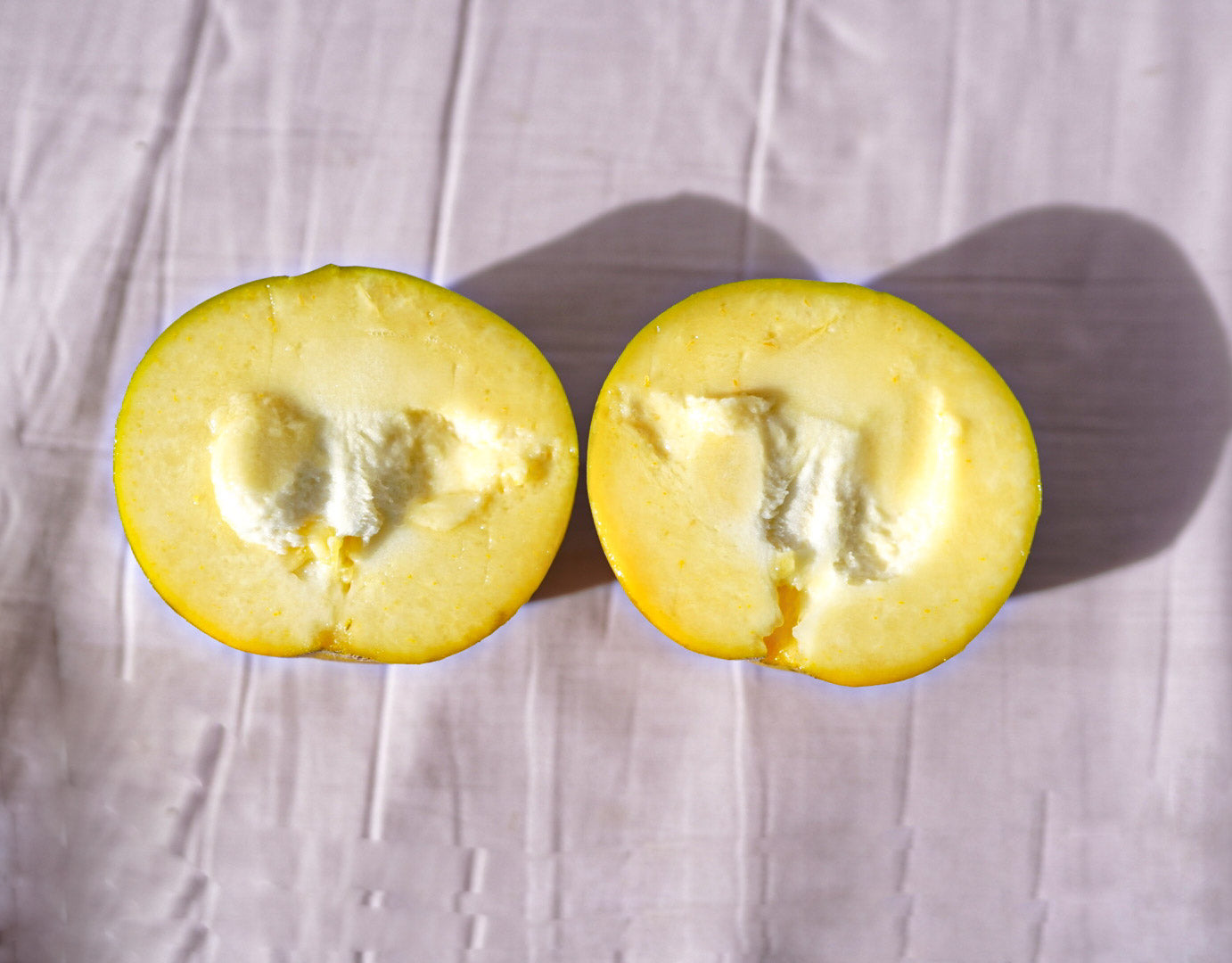 Casimiroa / White Sapote - Wiki Woo - Grafted