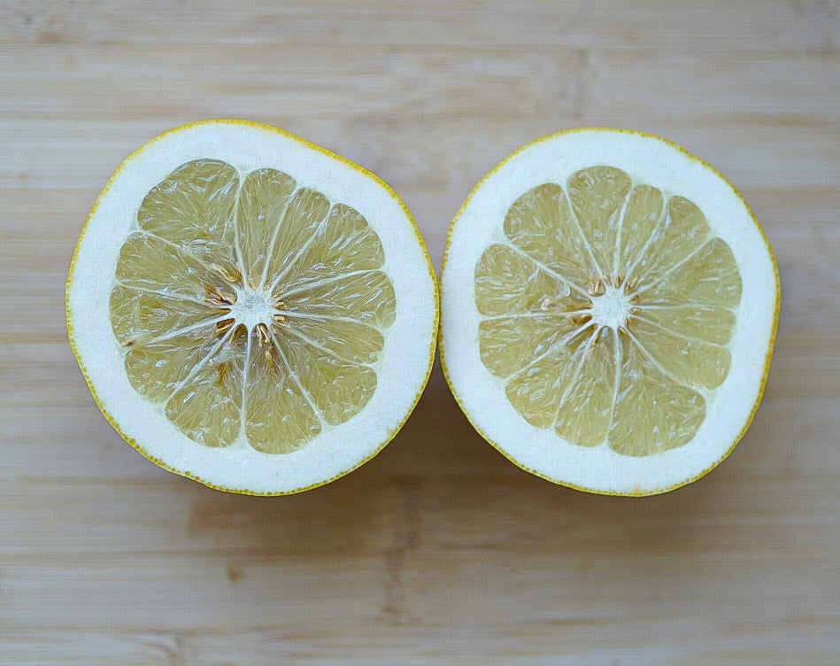 Pomelo - Salt River (cold-hardy)