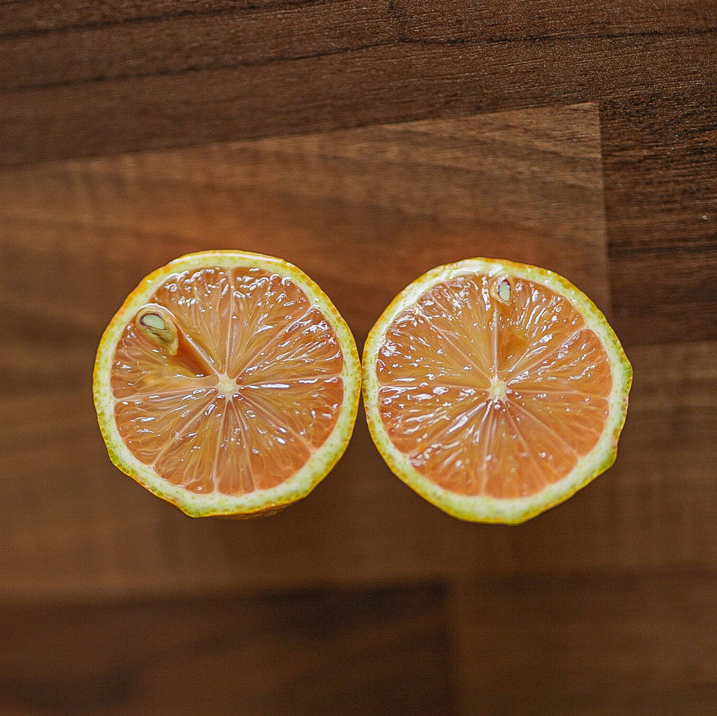 Lemon - Eureka Variegata flyingdragonnursery