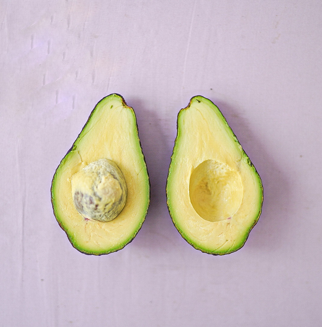 Avocado - Ivan - Winter ripening flyingdragonnursery