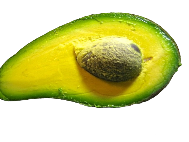 Avocado - Sharwil - spring/summer ripening flyingdragonnursery