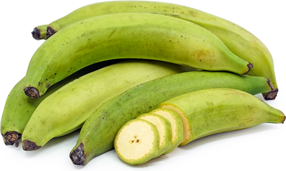 Banana -  Pacific Plantain