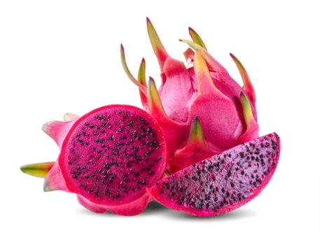 Dragonfruit - Red (Rooted in a pot)