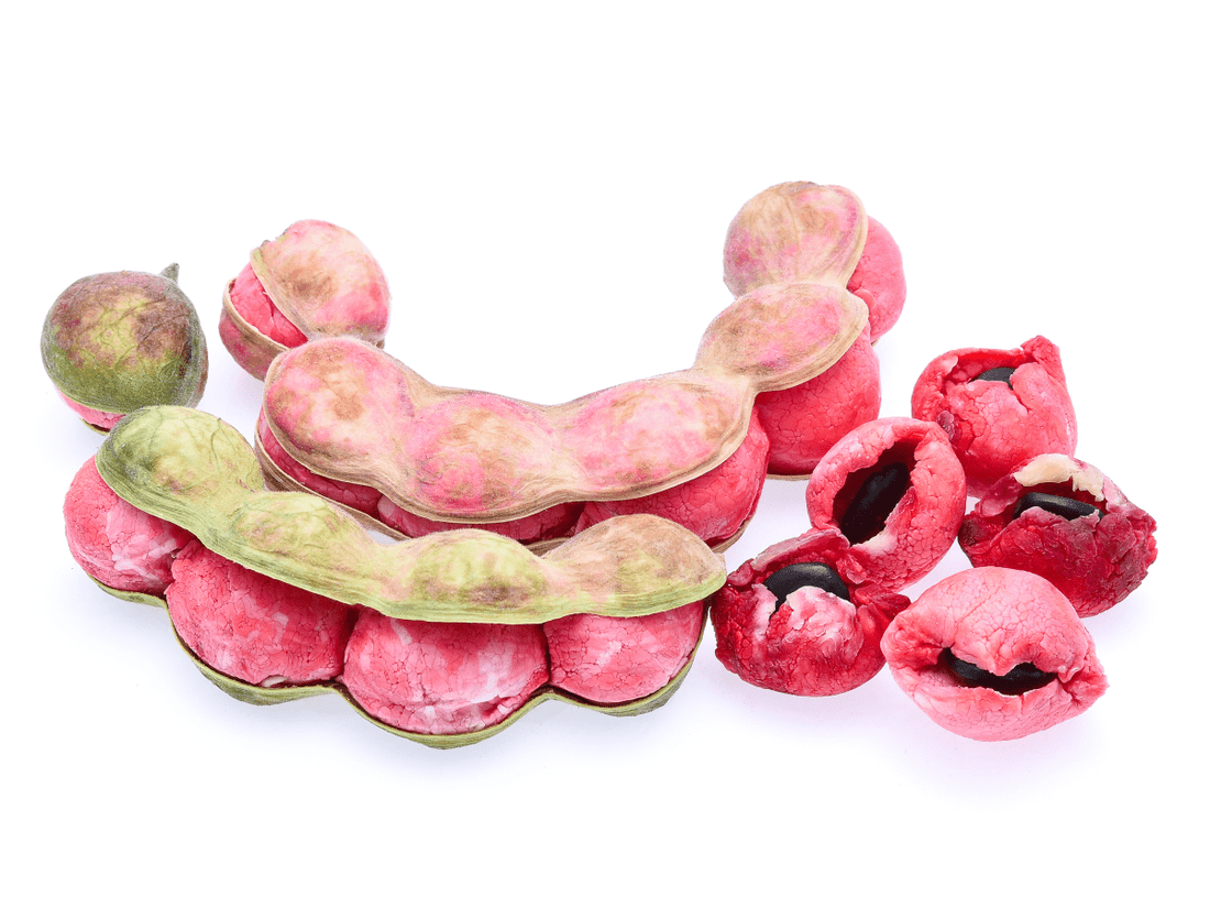 Manila tamarind plant flyingdragonnursery