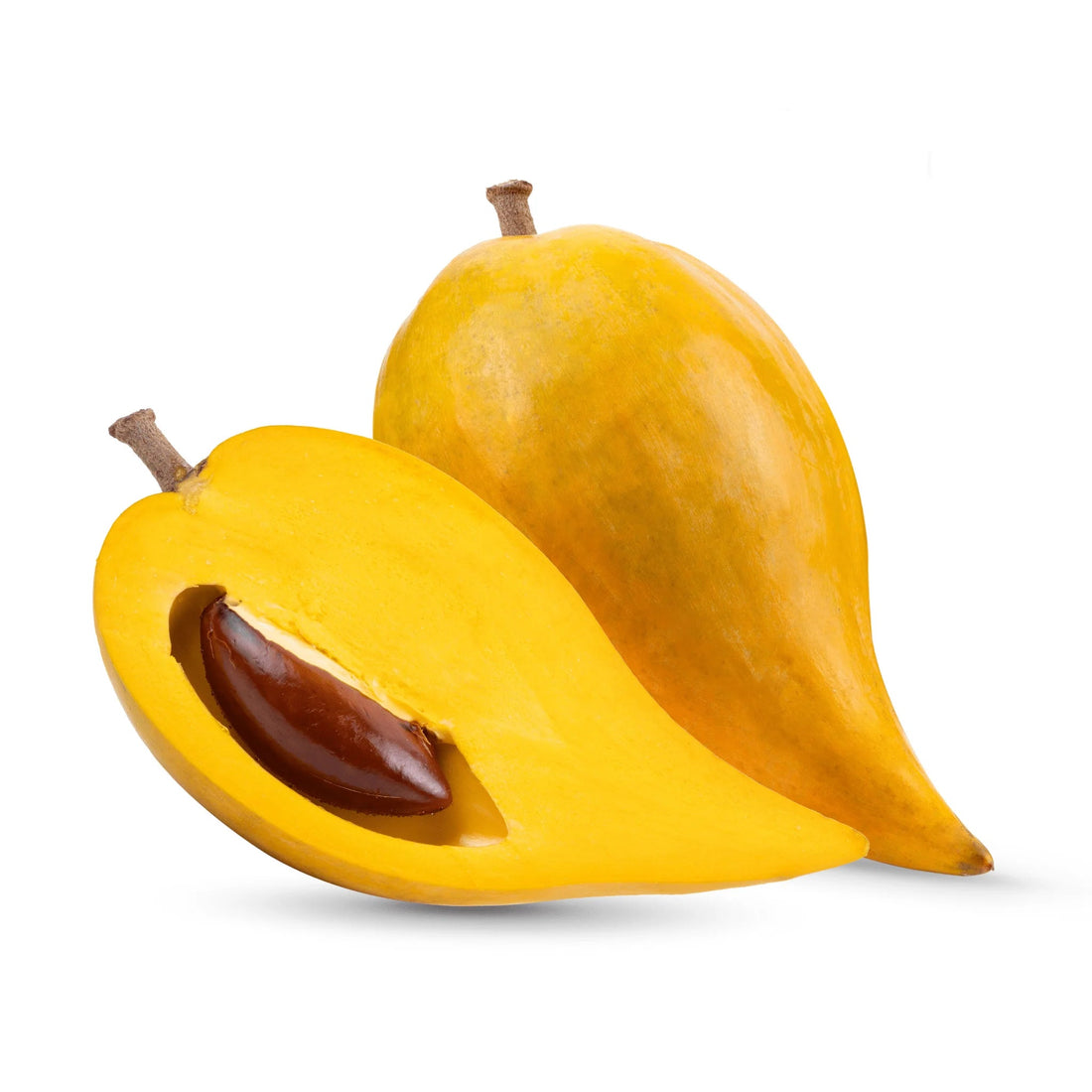 Yellow Sapote, Canistel plant flyingdragonnursery