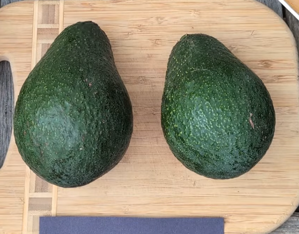 Avocado - Hellen