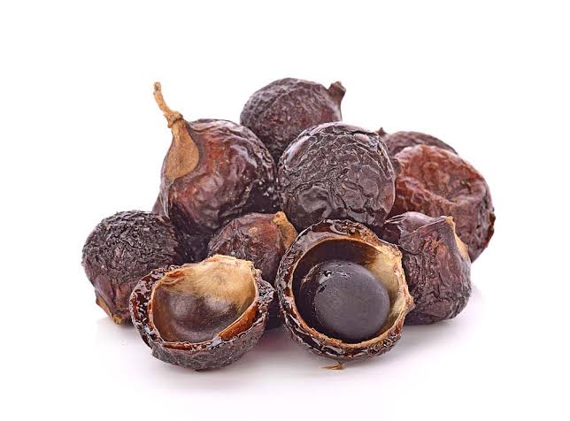 product-1-1 Soapnut tree – flyingdragonnursery