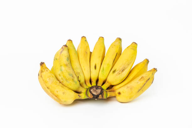 BANANA - PISANG AWAK (DUCASSE)