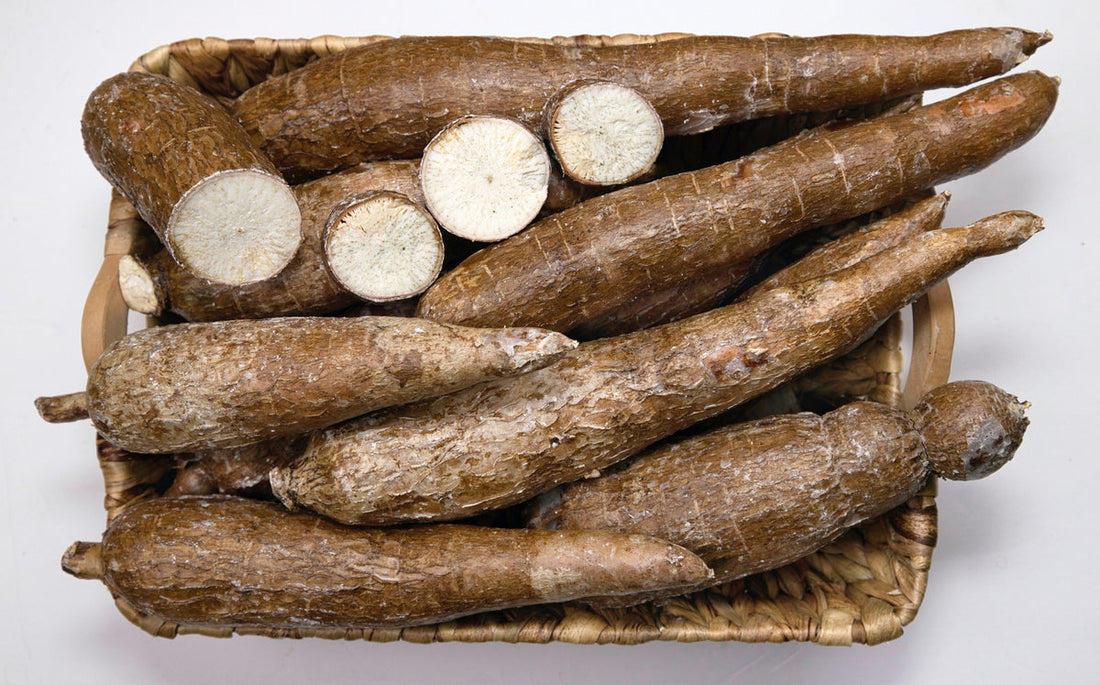 Yuca, Cassava