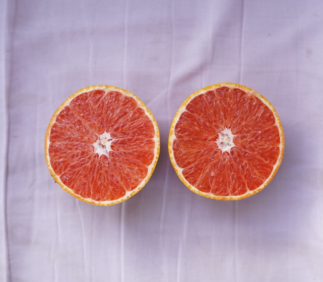 Variegated Orange — Ruby Flame™