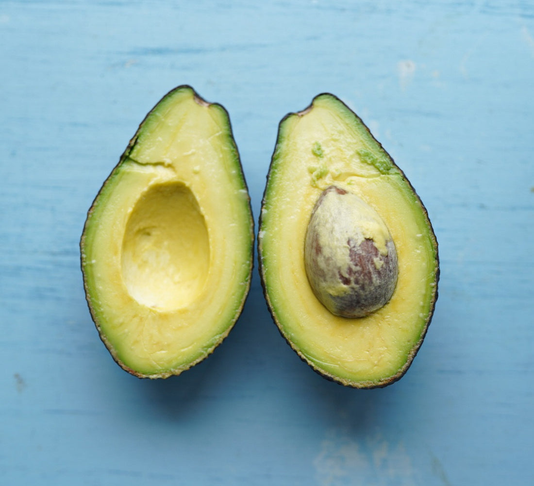 Avocado - Frazer - Semi Dwarf - summer ripening flyingdragonnursery