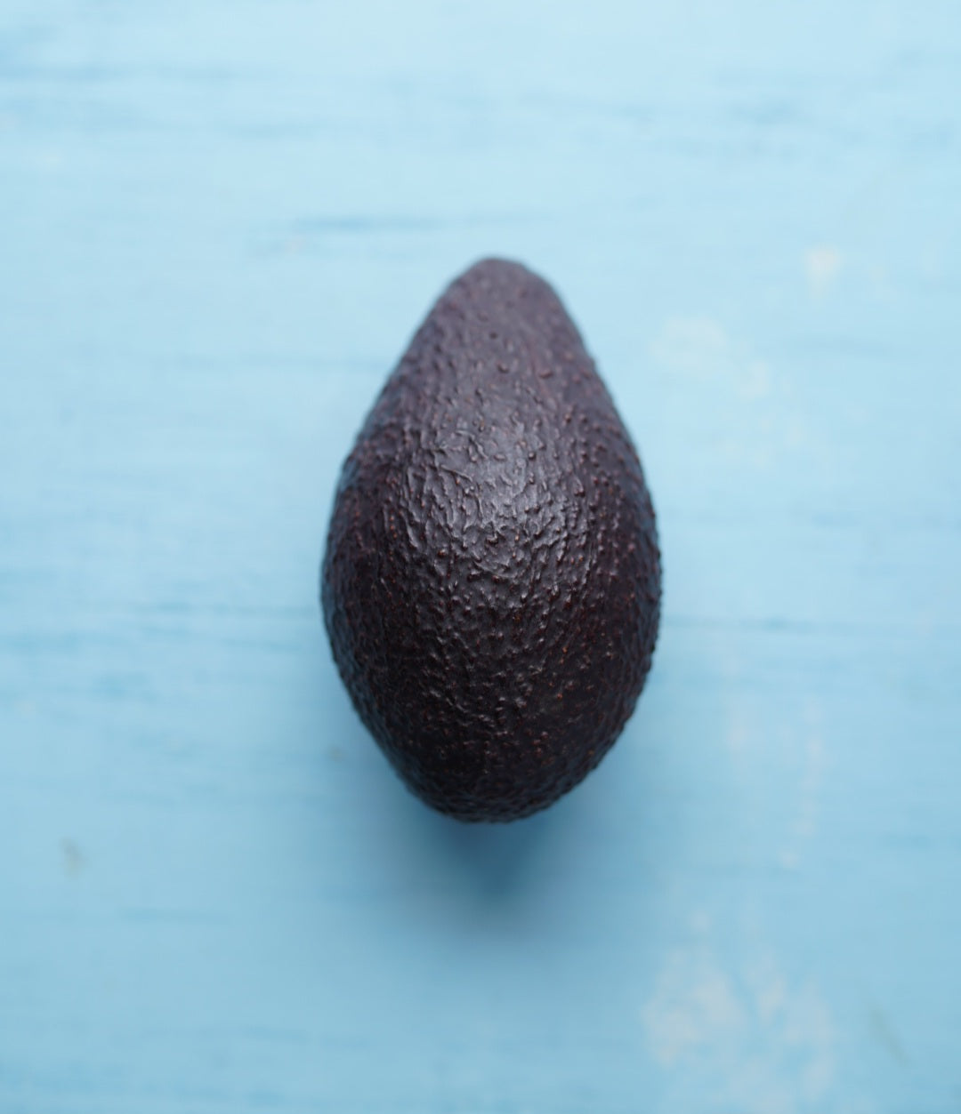 Avocado - Frazer - Semi Dwarf - summer ripening flyingdragonnursery