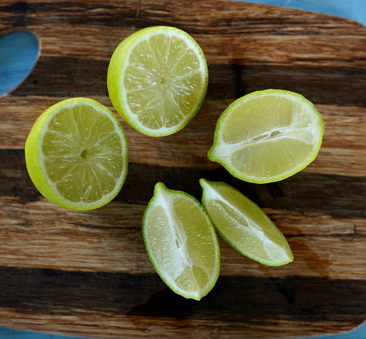 Lime - Sublime flyingdragonnursery