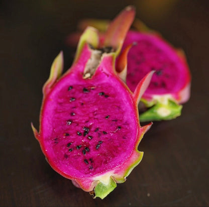 Dragonfruit — Sugar Dragon flyingdragonnursery