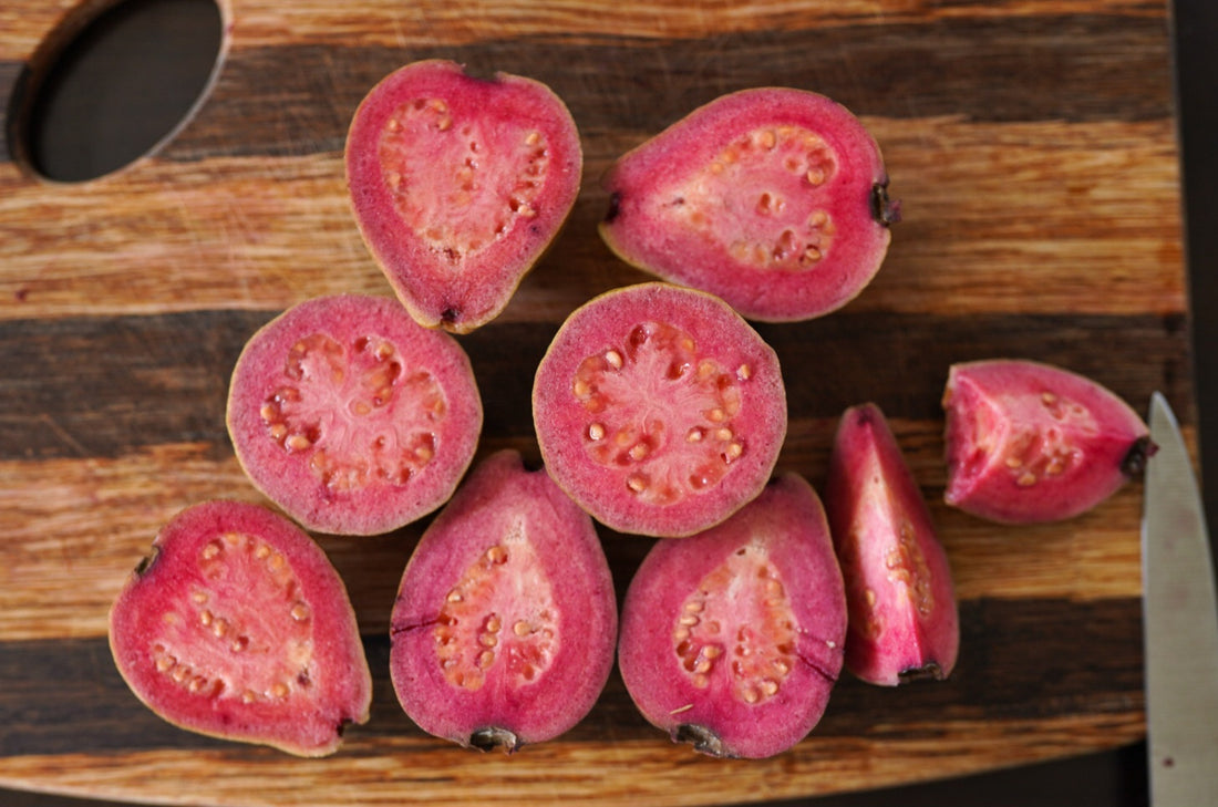 Guava - Purple Malay flyingdragonnursery