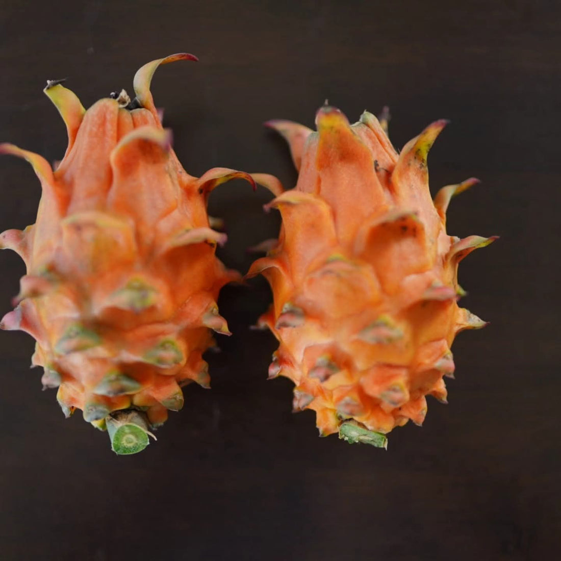 Dragonfruit - Frankie’s Red (Orange Dwarf)