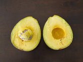 Avocado - Hopkins - summer/autumn ripening flyingdragonnursery