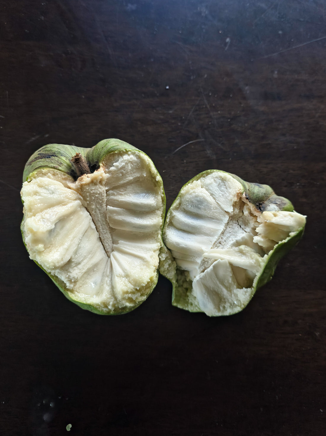 Cherimoya (Custard Apple) - Jack - Grafted