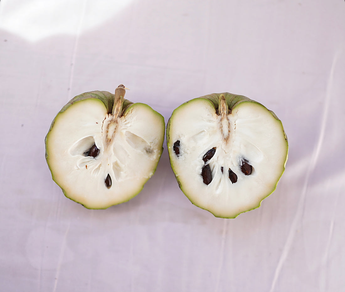 Cherimoya - Rex flyingdragonnursery