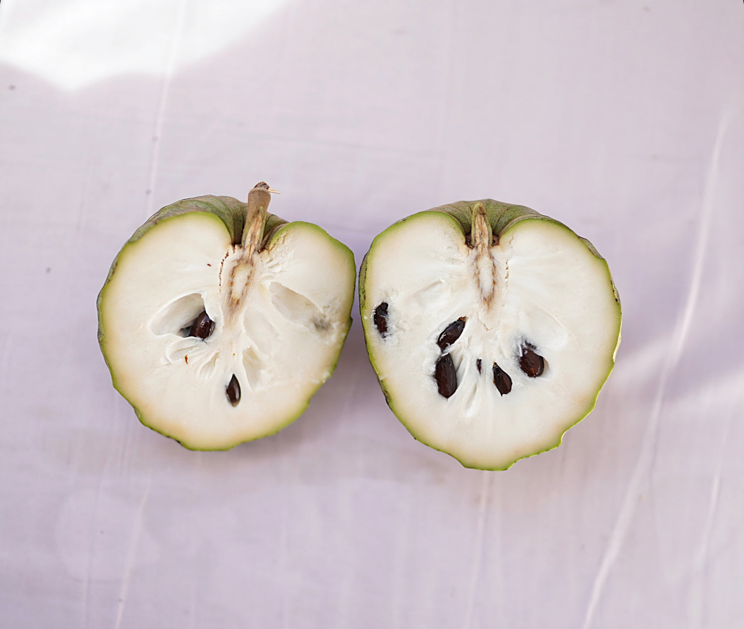 Cherimoya - Rex flyingdragonnursery