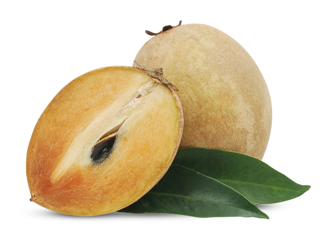 Sapodilla, Chiku Plant flyingdragonnursery