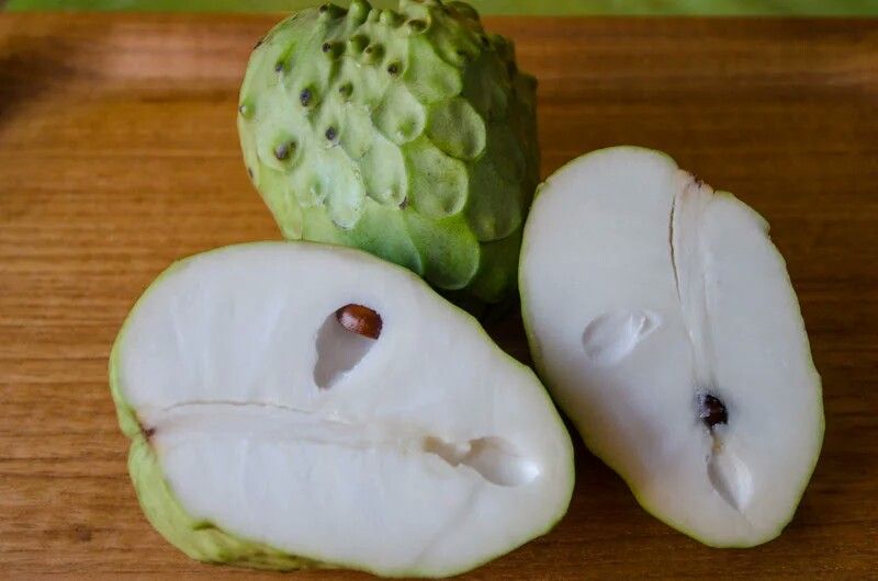 Cherimoya (Custard Apple) - White - Grafted flyingdragonnursery