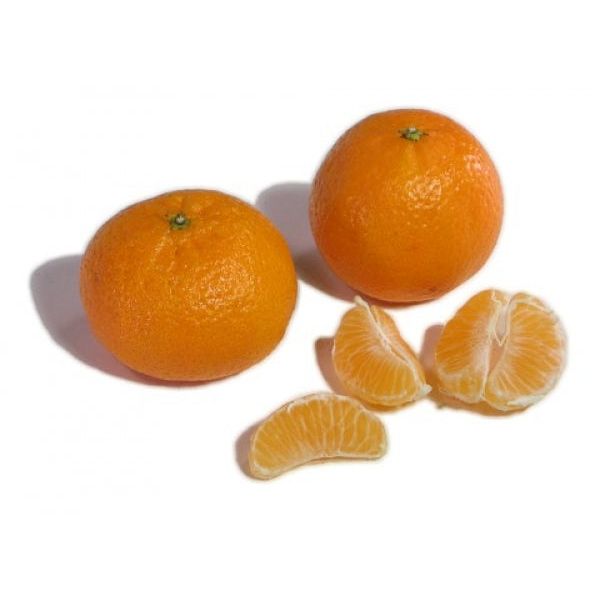 Mandarin - Clementine - flyingdragonnursery