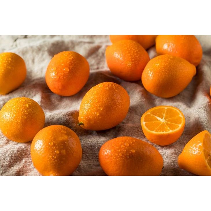 Mandarinquat - flyingdragonnursery