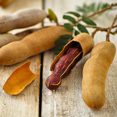 Tamarind (Tamarindus indica) - flyingdragonnursery