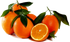 Orange - Navelina - flyingdragonnursery