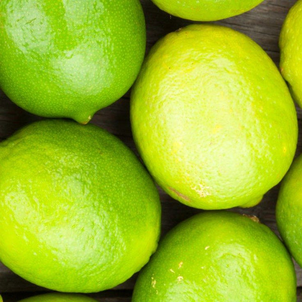 Lemons & Limes by thesapphirerose citrus, dark green, lemon