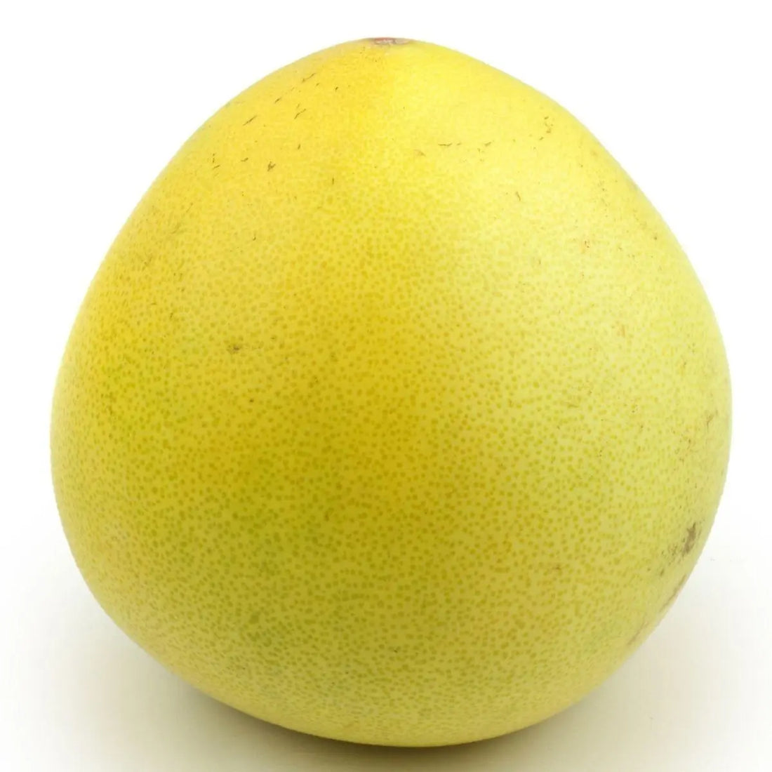 Pomelo - Chandler - flyingdragonnursery